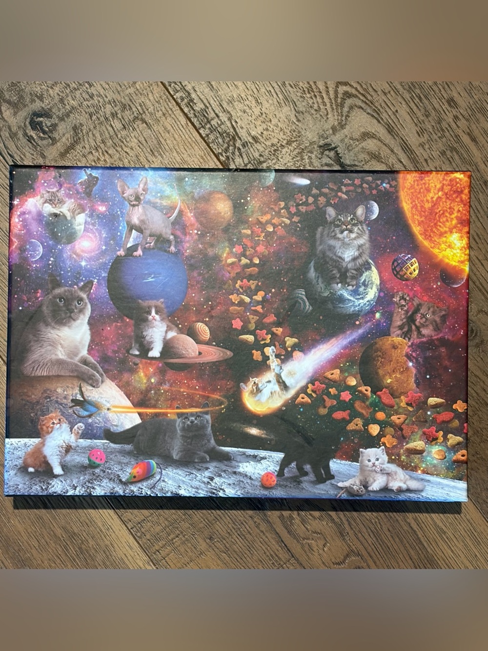 Fred Puzzle - Galaxy Cats 1000 pieces